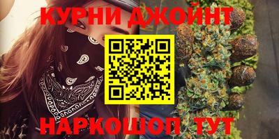 сатива Ачхой-Мартан
