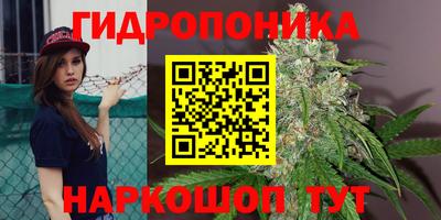 дживик Бердск