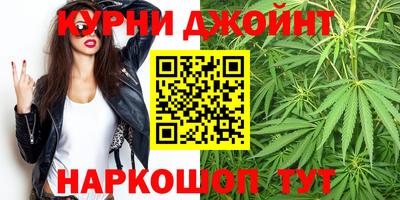 сатива Ачхой-Мартан
