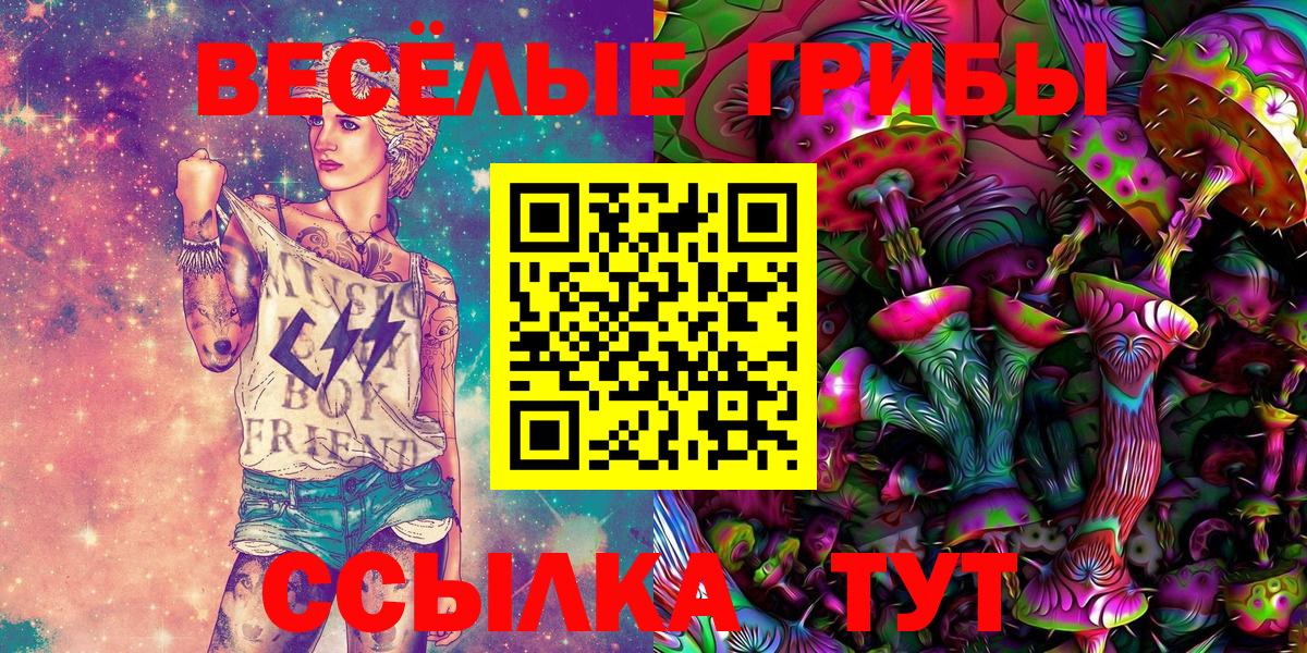 Псилоцибиновые грибы мицелий Борзя