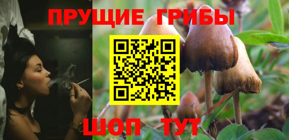 Галлюциногенные грибы ЛСД  где купить наркоту  Псилоцибиновые грибы прущие грибы  Борзя  Вход с VPN 
